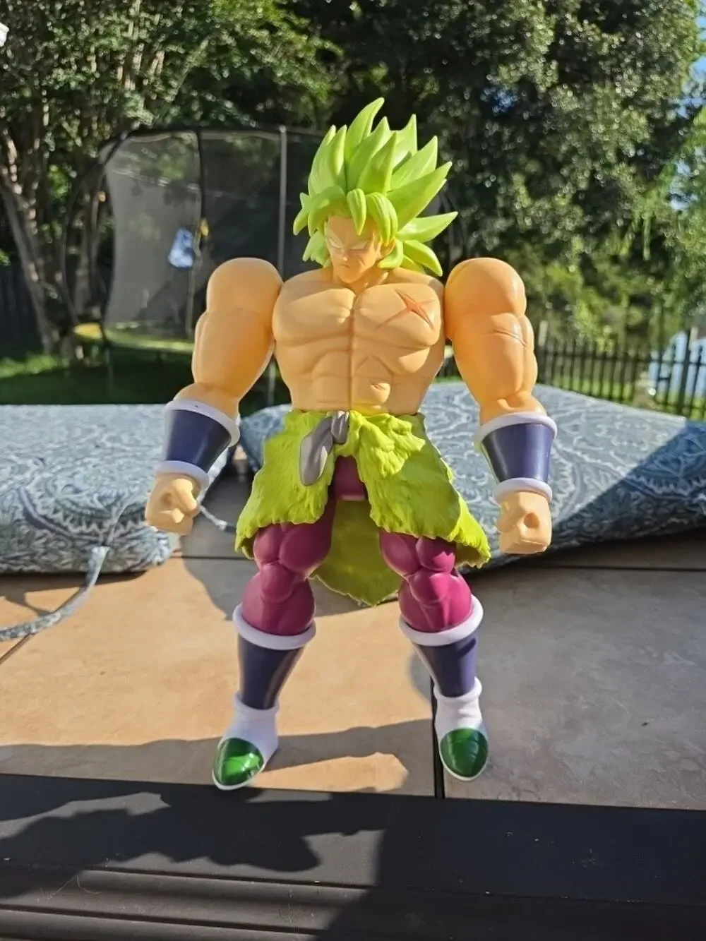 Super Saiyan Broly Dragon Ball Super 13